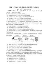 [生物]福建省龙岩市连城县第一中学2024～2025学年高二上学期10月月考试题(有答案)