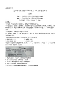 辽宁省名校联盟2024-2025学年高三上学期10月月考生物