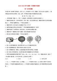 山东省泰安市2023_2024学年高一生物上学期期中试题