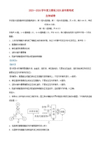 四川省成都市2023_2024学年高二生物上学期期中试题含解析