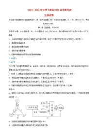 四川省成都市2023_2024学年高二生物上学期期中试题含解析