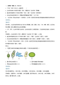 四川省成都市成华区某校2023_2024学年高一生物上学期期中试题含解析