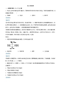 湖北省2023_2024学年高二生物上学期期中试题含解析