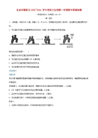 北京市朝阳区2023_2024学年高三生物上学期期中质量检测含解析