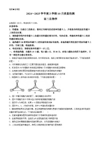 河南省周口市鹿邑县2024-2025学年高二上学期10月月考生物试题（Word版附解析）