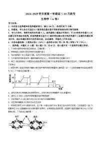 安徽省县中联盟2024-2025学年高二上学期10月月考生物试题(无答案)