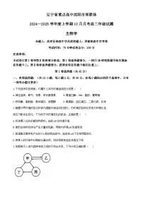 辽宁省重点高中沈阳市郊联体 2024-2025学年高二上学期10月月考生物学试题