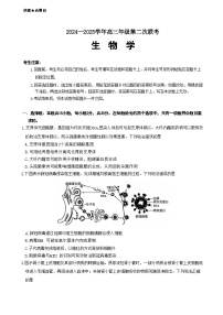 山东省潍坊市天一大联考2024-2025学年高三上学期10月月考生物试题