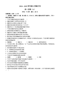 辽宁省辽东南协作体2024-2025学年高一上学期10月月考生物试卷