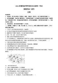 河南省十校2024-2025学年高二上学期10月月考生物试题