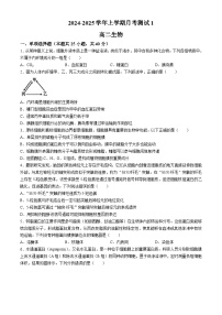 陕西省西安市碑林区西北工业大学附属中学2024-2025学年高二上学期月考生物试题