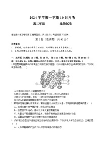 广东省广州市第八十九中学2024-2025学年高二上学期10月月考生物试题