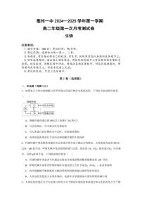 [生物]安徽省亳州市亳州市高二上第一次月考2024～2025学年高二上学期10月月考试题(有解析)