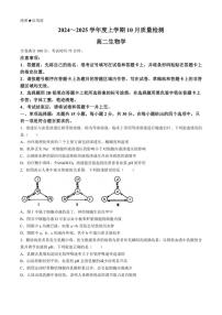 [生物]河南省周口市鹿邑县2024～2025学年高二上学期10月月考试题(解析版)