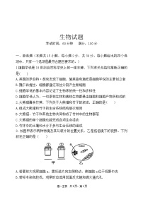 辽宁省七校2024-2025学年高一上学期10月联考生物试卷(02)