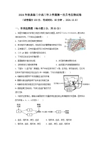 福建省泉州市泉港区第二中学2024-2025学年高二上学期10月月考生物试题