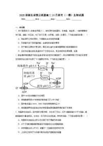 2025届湖北省腾云联盟高三10月联考（一模）生物试题