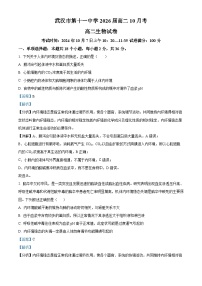 湖北省武汉市第十一中学2024-2025学年高二上学期10月月考生物试题（Word版附解析）