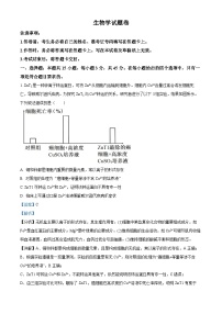 重庆市第一中学2024-2025学年高三上学期9月月考生物试题（Word版附解析）