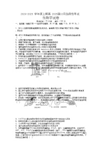 四川省成都市第七中学2024-2025学年高三上学期10月月考生物