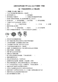 江苏省无锡市运河中学2024-2025学年高一上学期生物月考试题(无答案)