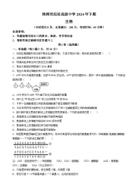 湖南省株洲市世纪星高级中学2024-2025学年高二上学期10月月考生物试题(无答案)