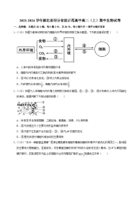湖北省部分省级示范高中2023-2024学年高二上学期期中考试生物试题