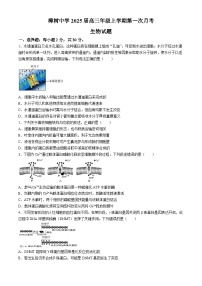 江西省樟树中学2024-2025学年高三上学期第一次月考生物试题