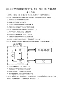 陕西省榆林市府谷县府谷中学、府谷一中2024-2025学年高二上学期9月月考生物试题