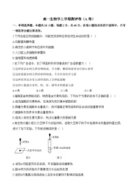 湖南省衡阳市衡阳县部分学校2024-2025学年高一上学期第一次月考生物试题（A卷）