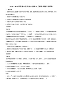 广东省珠海市斗门区金砖四校2024-2025学年高一上学期10月月考生物试题（解析版）