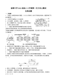 山东省泰安市新泰第一中学老校区（新泰中学）2024-2025学年高二上学期第一次月考生物试题