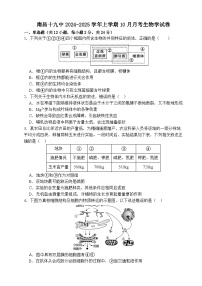 江西省南昌市东湖区南昌市第十九中学2024-2025学年高三上学期10月月考生物试题