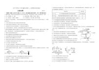 山东省济宁市育才中学2024-2025学年高二上学期10月月考生物试题