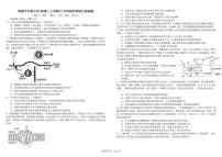 四川省成都市树德中学2025届高三上学期10月月考生物试题（含答案）