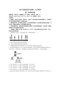 [生物]湖北省部分名校2024～2025学年高二上学期10月月考试题(含解析)