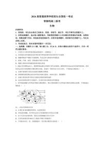 [生物]河南省十校2024～2025学年高二上学期10月月考试题(含解析)