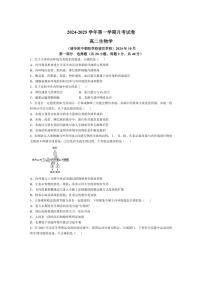 [生物]北京市清华大学附属中学朝阳学校2024～2025学年高二上学期第一学期10月月考试卷(含答案)