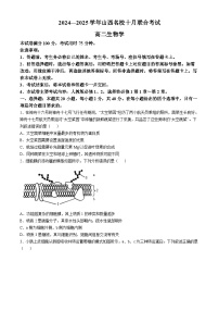 山西省名校2024-2025学年高二上学期10月联合考试生物试题