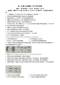 河北省廊坊市文安县第一中学2024-2025学年高一上学期开学生物试题(无答案)