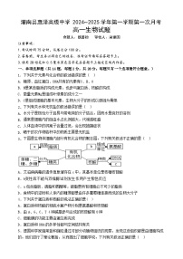 江苏省连云港市灌南县惠泽高级中学2024-2025学年高一上学期10月第一次月考生物试题