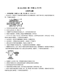 陕西师范大学附属中学2024-2025学年高二上学期10月月考生物试题(无答案)