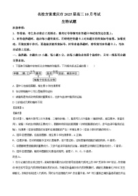 重庆市“名校方案联盟”2024-2025学年高三上学期10月大联考生物试题（解析版）