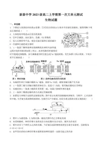 [生物]山东省泰安市新泰第一中学老校区(新泰中学)2024～2025学年高二上学期第一次月考试题(有答案)