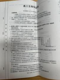 青海金太阳2025届高三上学期10月联考生物试题