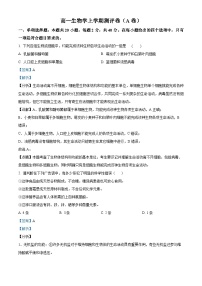 湖南省衡阳市衡阳县部分学校2024-2025学年高一上学期第一次月考生物试题（A卷）（学生版+教师版）