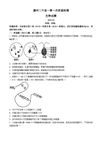 山东省滕州市第二中学2024-2025学年高一上学期第一次质量检测生物试题