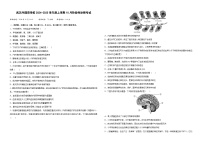 湖北省武汉外国语学校2024-2025学年高二上学期10月阶段性诊断考试生物试题