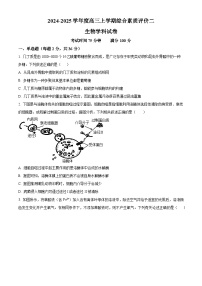 河北省衡水中学2024-2025学年高三上学期综合素质评价二生物试题（Word版附答案）