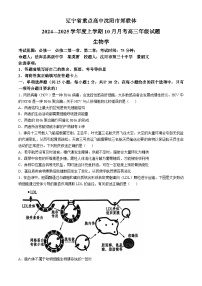 辽宁省重点高中沈阳市郊联体2024-2025学年高三上学期10月月考生物试题（Word版附答案）